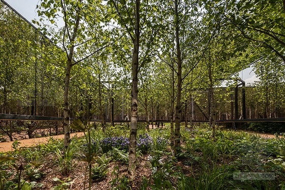 法國肖蒙國際園林展:具有無限深度的花園