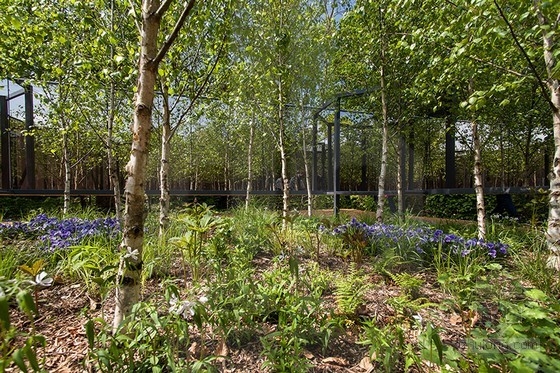 法國肖蒙國際園林展:具有無限深度的花園