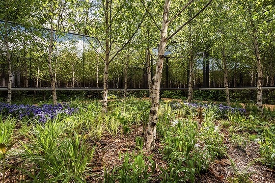 法國肖蒙國際園林展：具有無限深度的花園