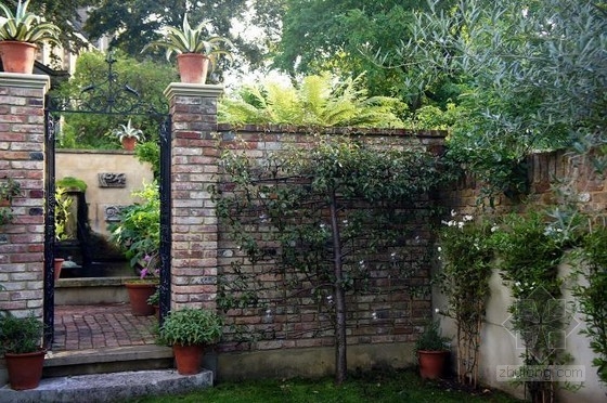 倫敦古玩家Will Fisher的花園