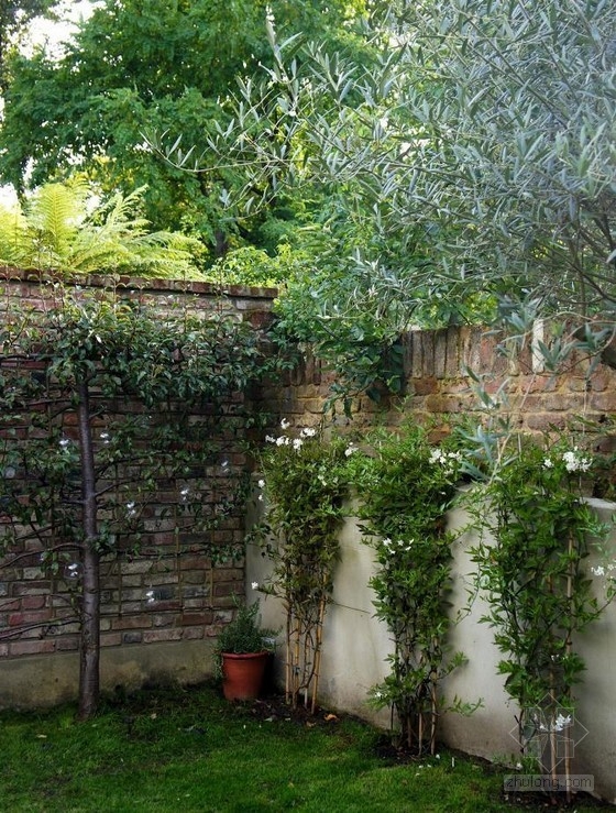 倫敦古玩家Will Fisher的花園