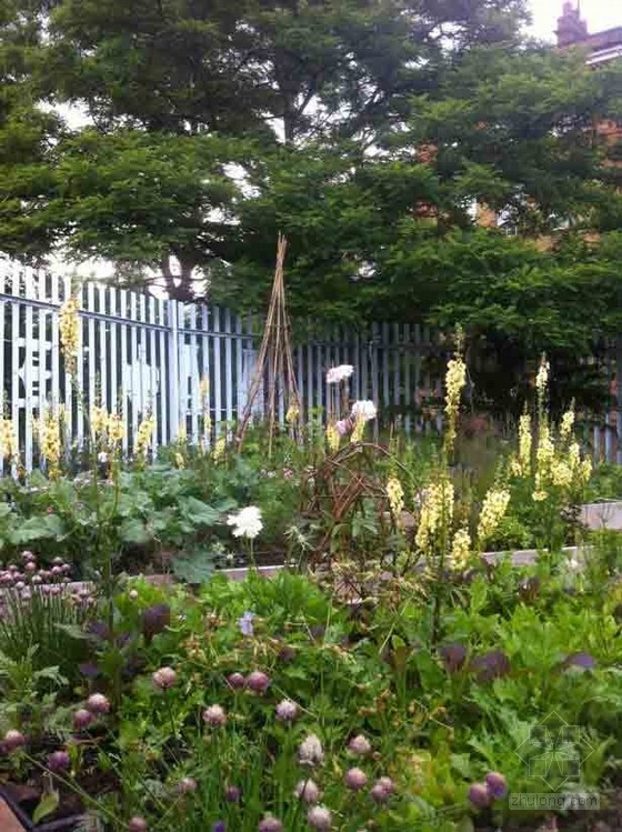 Lottie Muir設計的倫敦屋頂的雞尾酒花園酒吧