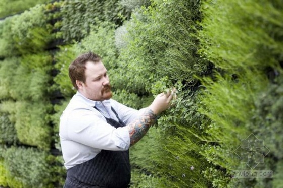 亞特蘭大植物園