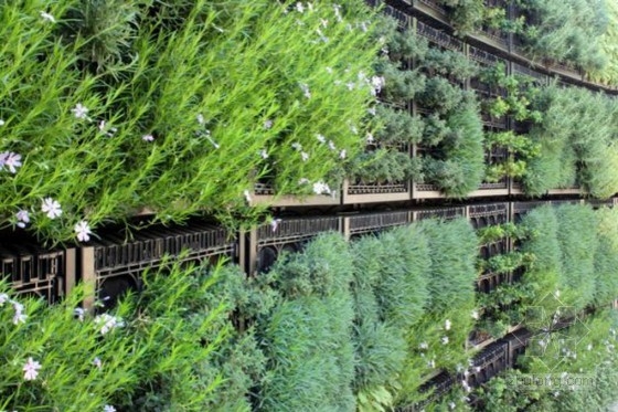 亞特蘭大植物園