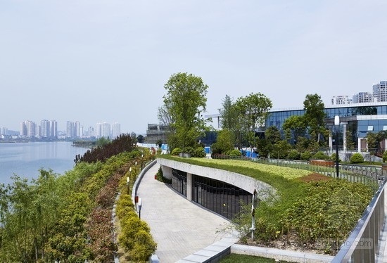 畢路德設(shè)計的四川遂寧涪江濕地公園