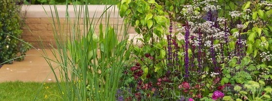 2013切爾西花展金獎:“播下改變之種”花園