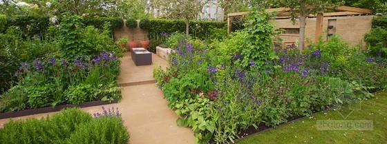 2013切爾西花展金獎:“播下改變之種”花園