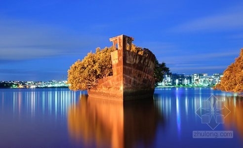 在沉沒的煤船上重獲新生的飄浮紅樹林