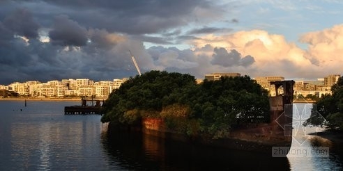 在沉沒的煤船上重獲新生的飄浮紅樹林