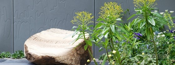 2013切爾西花展銀獎:“停止傳播”花園