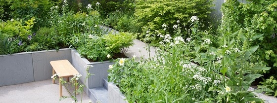 2013切爾西花展銀獎:“停止傳播”花園