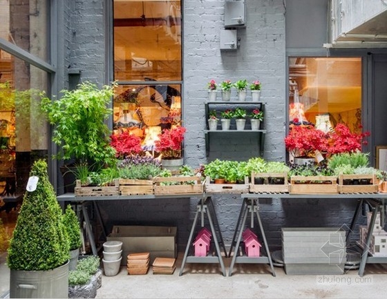 切爾西藝穗節上的Squint輕松花園