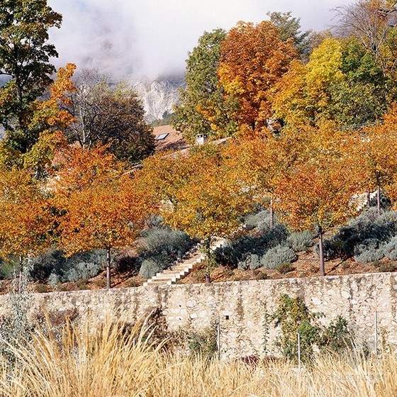 ADPD設計的法國沙朗斯梯田花園