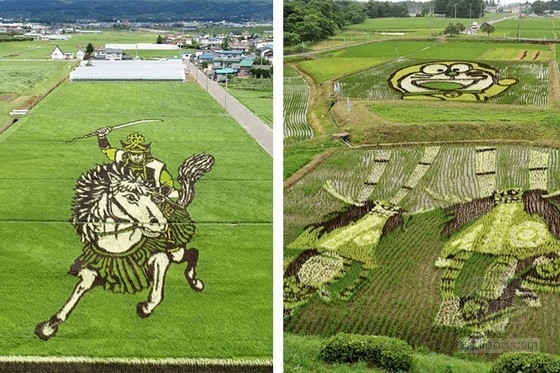 日本田舍館村村民設計的巨型稻田插畫藝術
