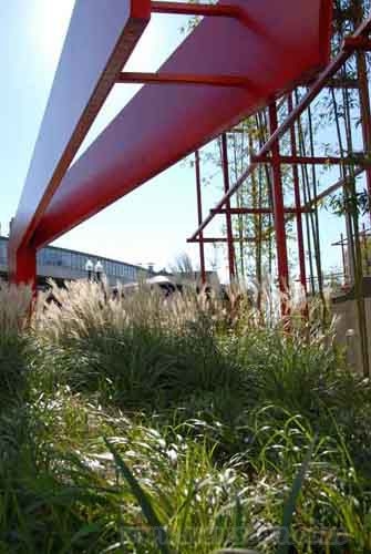 波士頓中國城公園