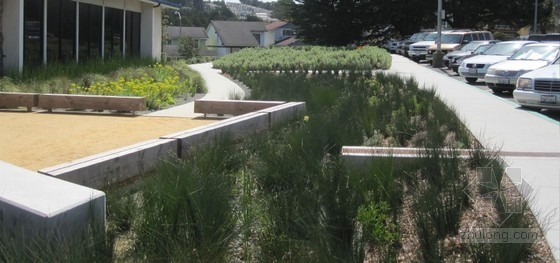 希拉門托圖書館雨水花園
