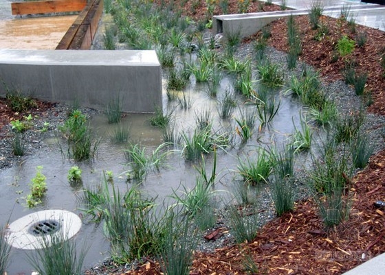 希拉門托圖書館雨水花園