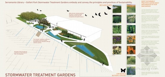 希拉門托圖書館雨水花園
