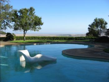 托馬斯·丘奇作品:唐納花園