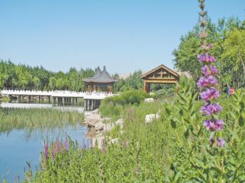 園林城市_國家園林城鎮