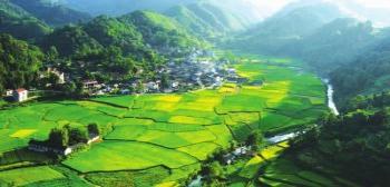 綠色化：長株潭國家兩型社會建設新藍圖