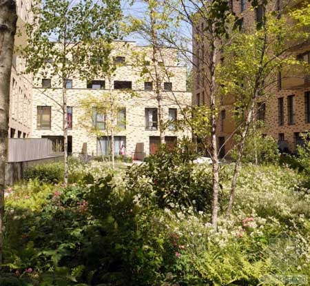 英國St Andrews港市經濟住宅區