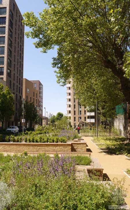 英國St Andrews港市經濟住宅區