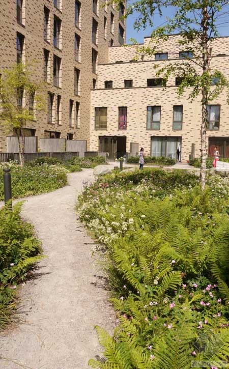 英國St Andrews港市經濟住宅區