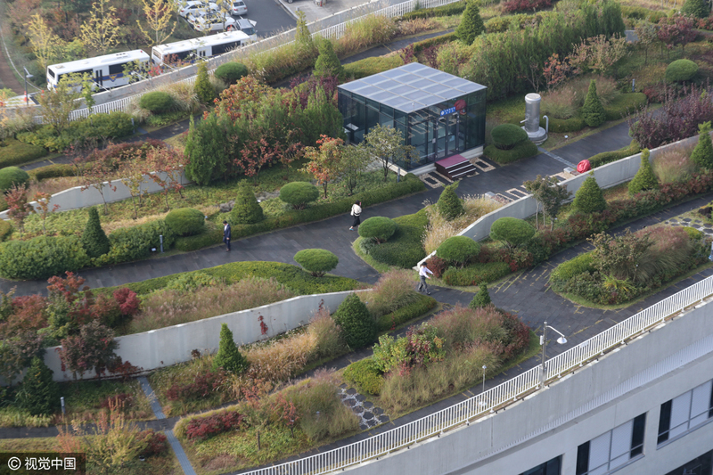 韓政府大樓屋頂花園