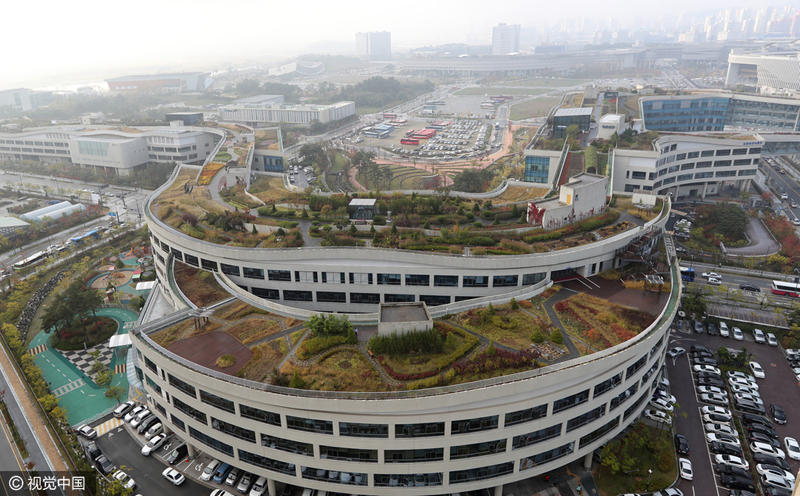 韓政府大樓屋頂花園