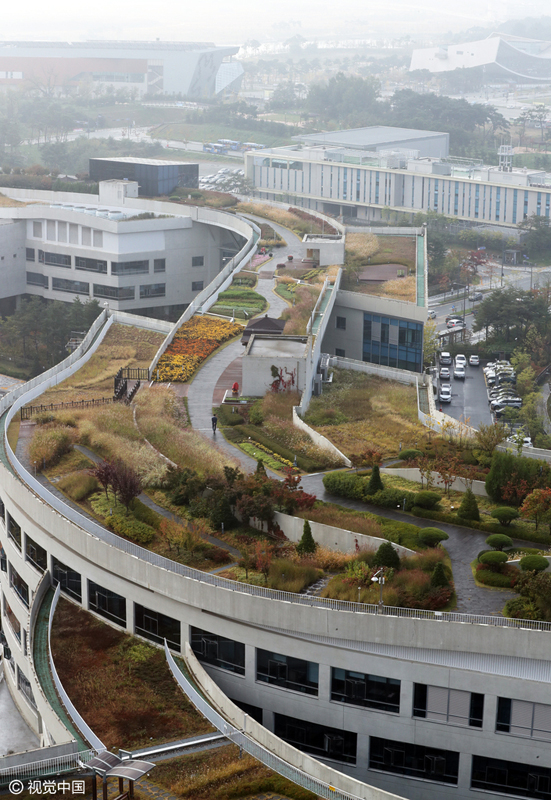 韓政府大樓屋頂花園