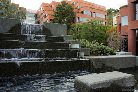 美國舊金山Levi公園實景圖