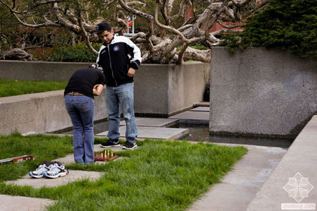 美國舊金山Levi公園實景圖