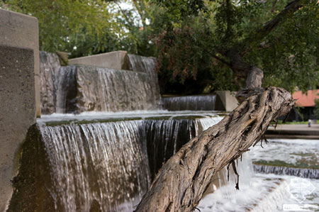 美國(guó)舊金山Levi公園實(shí)景圖