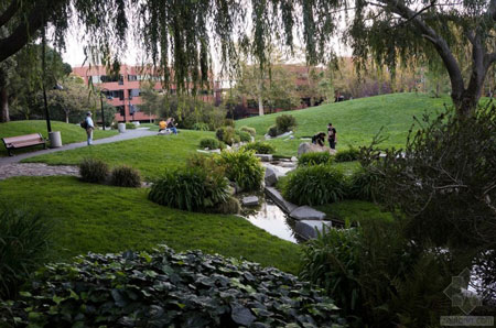 美國(guó)舊金山Levi公園實(shí)景圖