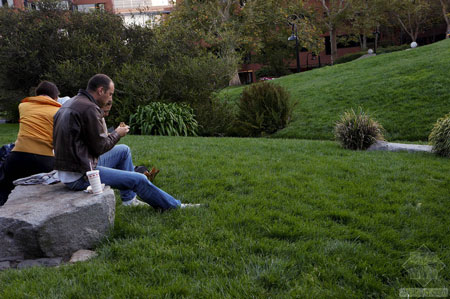 美國(guó)舊金山Levi公園實(shí)景圖