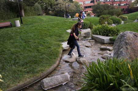 美國舊金山Levi公園實(shí)景圖