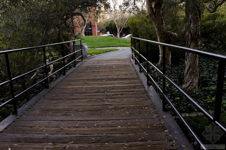 美國(guó)舊金山Levi公園實(shí)景圖