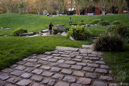 美國(guó)舊金山Levi公園實(shí)景圖