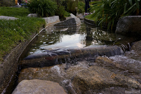 美國舊金山Levi公園實(shí)景圖