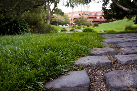 美國舊金山Levi公園實(shí)景圖