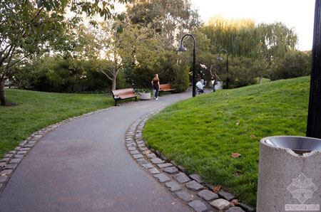 美國舊金山Levi公園實(shí)景圖