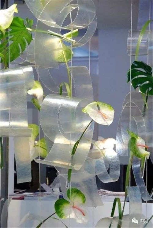 彩掌切花作品欣賞