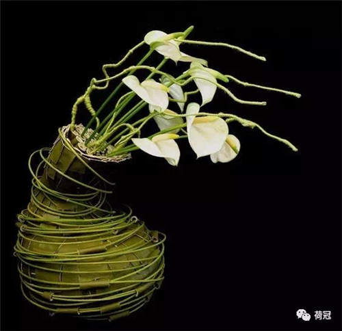 彩掌切花作品欣賞