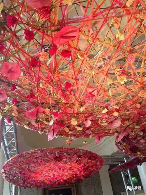 彩掌切花作品欣賞