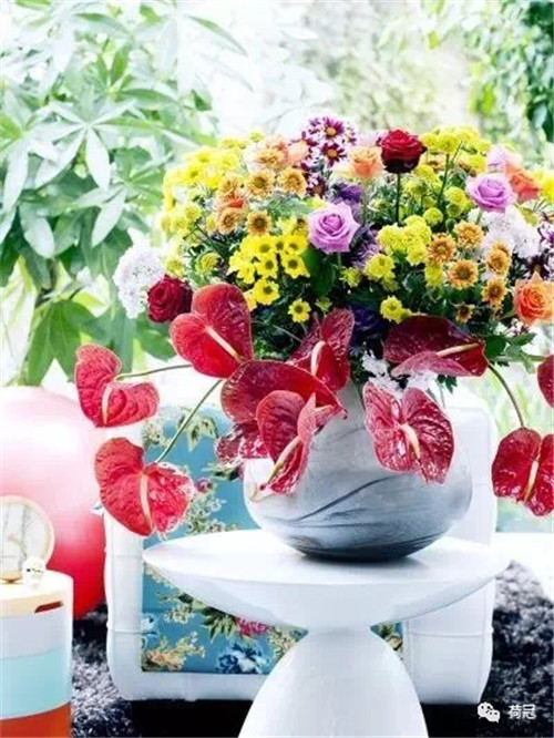 彩掌切花作品欣賞