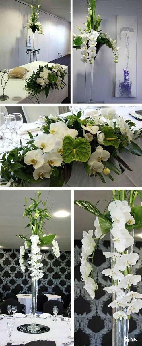 彩掌切花作品欣賞