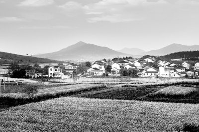 森林小鎮如何建 森林小鎮如何建