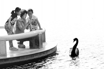 森林小鎮如何建 森林小鎮如何建