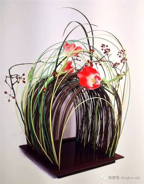 花藝欣賞：綻放花的氣質(zhì)